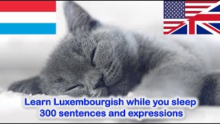 Learn Luxembourgish while you sleep  300 sentences and expressions all levels [upl. by Essila]