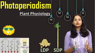 PHOTOPERIODISM I Plant Physiology I Plant Growth and Development I LDP SDP DNP LSDP SLDP [upl. by Inahc]