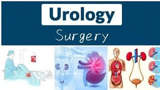 Urology Surgery 12  Bladder InjuriesBladder Fistulae Neuropathic Bladder [upl. by Waly]