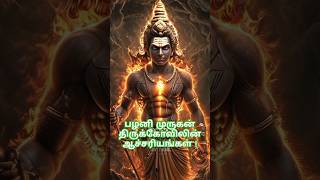 பழனி முருகன் திருக்கோவிலின் ஆச்சரியங்கள் facts murugan palani muruga bogar tamil history [upl. by Gibbons877]