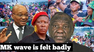 Mk Mini Rally  MK victory over EFF and ANC😳😳 [upl. by Kcirreg]