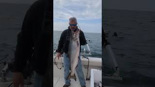 No derby ticket No 💰 23lb salmon headed to the dinner table lakeontario [upl. by Ycaj]