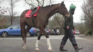 Willie Mullins on Vautour Faugheen and Douvan [upl. by Aniratac]