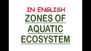 Aquatic Ecosystem Zones  PhoticAphotic Limnetic Pelagic Intertidal Neritic In Eng [upl. by Nirra]