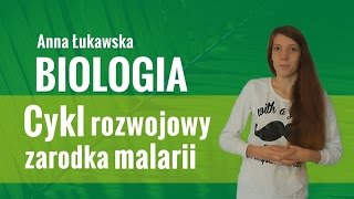 Biologia  Cykl rozwojowy zarodka malarii [upl. by Zilla]