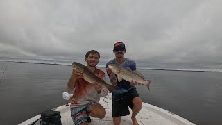 Fishing Placida FL for Redfish Shark Tarpon and Snook [upl. by Neeuq541]