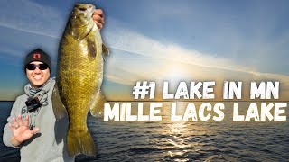 Fishing the 1 BEST Lake in Minnesota [upl. by Ewolram]