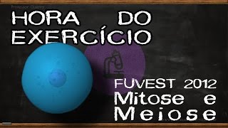 Mitose e meiose  FUVEST 2012 [upl. by Anaahs18]