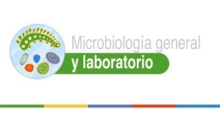 Métodos de recuento microbiano [upl. by Nosnehpets]