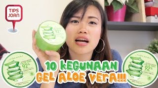 10 Kegunaan Gel Aloe Vera  TIPS NIHAO [upl. by Hiltner]