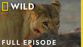 Savage Kingdom A New Dynasty Full Episode  National Geographic [upl. by Roderigo604]