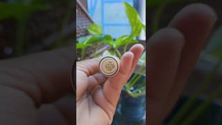 Swiss beauty concealer Sand Sable shorts shortvideo swissbeauty [upl. by Tilney849]