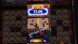 🏆Hit All gold Coins🏆shorts shortsvideo youtubeshorts bullrun2024 slot casino jackpot pokie [upl. by Ttenneb806]