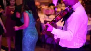 Persian Violinist in Los Angeles [upl. by Grubb]