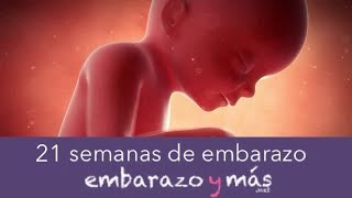 21 semanas de embarazo  Quinto mes  EMBARAZOYMAS [upl. by Eseerehs]