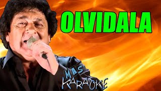 OLVIDALA 🍏 Los Palmeras Mas Karaoke [upl. by Lasko]