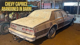 First Wash in 18 Years Caprice Classic Barn Find  Car Detailing Restoration [upl. by Inafets]