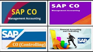 SAP CO Series  05 Profit Center Accounting [upl. by Zampardi978]