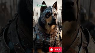 Top 10 ANCIENT Dog Breeds used for War shorts dog viralvideo [upl. by Etsyrk]