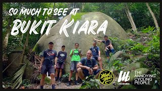 Hiking at Bukit Kiara [upl. by Lordan]