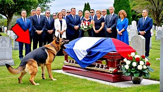 Le Chien Aboie Furieusement Devant le Cercueil de son Maître Quand Ils lOuvrent la Foule Crie [upl. by Ecille645]