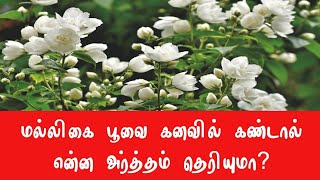 மல்லிகைப் பூவை கனவில் கண்டால்  malligai poo kanavil vanthal enna palan  kanavu palangal in tamil [upl. by Mendelson770]