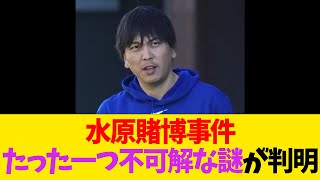 水原賭博事件、たった一つ不可解な謎が判明【なんJ反応】 [upl. by Lukas726]