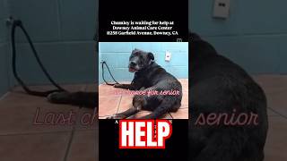 🚨Chumley🆘20 DAYS PAST DEADLINE NOW EXTREMELY URGENT🆘 [upl. by Maxy773]