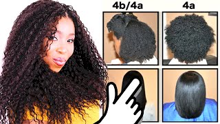 Natural Hair Types EXPLAINED In Detail w PICTURES 4C 4B amp 4A HAIR CHART [upl. by Uttica]