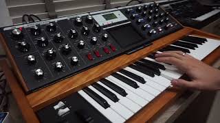 Lukes Theme on a Minimoog Voyager  EHX Cathedral [upl. by Engapmahc]