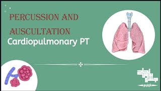 Percussion Cardiopulmonary PT Sec 5 part 1 [upl. by Ceevah872]