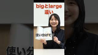 bigとlarge shorts こあらの学校 英単語 [upl. by Sanfred]