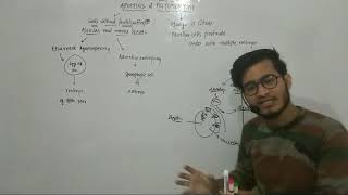 L33 Apomixis and Polyembryony by Vipin Sharma [upl. by Maisie]