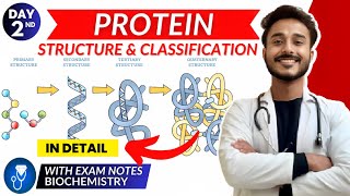 protein biochemistry  structure of protein biochemistry  classification of protein [upl. by Prior781]