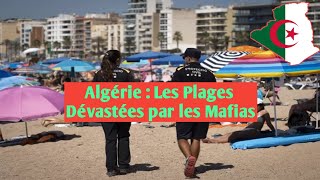 Algérie  Les Plages Dévastées par les Mafias Clandestines un Été de Calvaire pour les Estivants [upl. by Molohs]