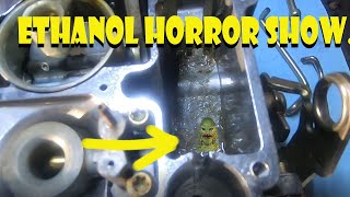 Horror Show Ethanol vs Non Ethanol in a Carburetor [upl. by Hagile951]