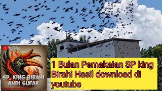 1 Bulan Pemakaian SP king Birahi Hasil Download di youtube hasilnya luar biasa [upl. by Abran]