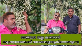 അത്ഭുതമുല്ല കാണാൻ ആളുകൾ ഒഴുകി വരുന്നു  Miracle Jasmine  Khalid talkie [upl. by Morgan]