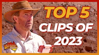 Your Favourite Coight Clips of 2023  All Aussie Adventures [upl. by Naeerb259]