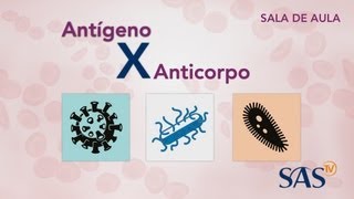 Antígeno X Anticorpo [upl. by Milde942]