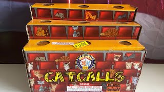 “CATCALLS” FIREWORK FOUNTAIN by BROTHERS [upl. by Sisile203]