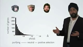 Measuring Selection – Purifying vs Diversifying Harmit Malik FHCRCHHMI [upl. by Rahm]