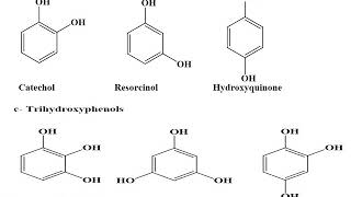 phenols I [upl. by O'Donnell]