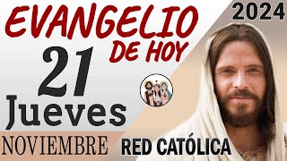 Evangelio de Hoy Jueves 21 de Noviembre de 2024  REFLEXIÓN  Red Catolica [upl. by Euqinim]