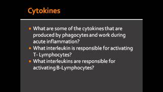 Cytokines during acute inflammation  IL1 IL8 and TNFalpha [upl. by Iot]