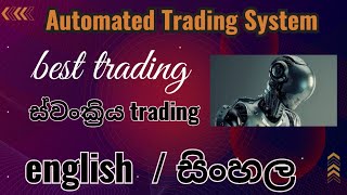 RICH FX Automated Trading System [upl. by Ataliah]