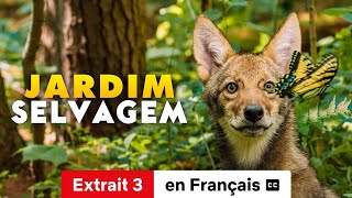 Les Connexions naturelles Extrait 3 soustitré  BandeAnnonce en Français  Netflix [upl. by Oly659]