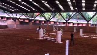 Show Jumping Competition  50cm Vertical [upl. by Dibru]