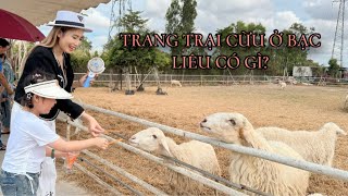 TRANG TRẠI CỪU BẠC LIÊU CÓ GÌ   SAM SAM  BÉ SÚN [upl. by Arch799]