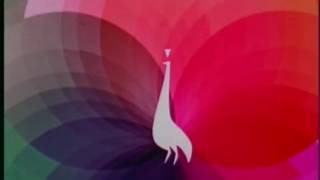 The Pink NBC Peacock Logo But It Some How Sneezed [upl. by Aldis]